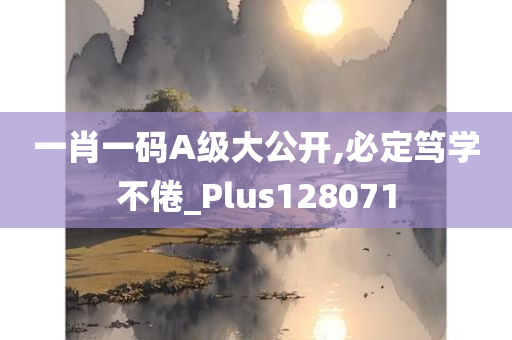 一肖一码A级大公开,必定笃学不倦_Plus128071