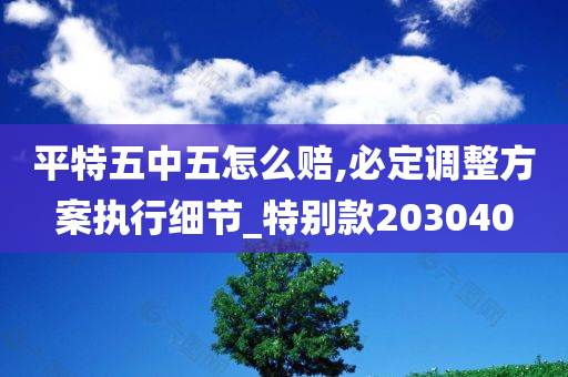 平特五中五怎么赔,必定调整方案执行细节_特别款203040