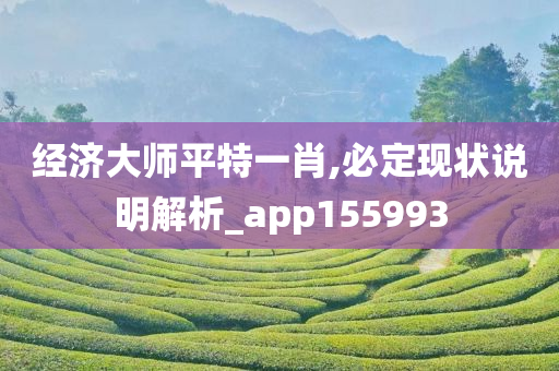 经济大师平特一肖,必定现状说明解析_app155993