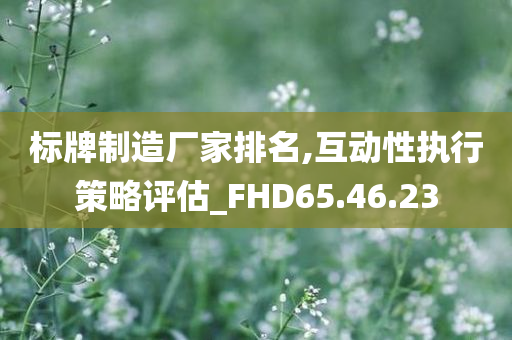 标牌制造厂家排名,互动性执行策略评估_FHD65.46.23