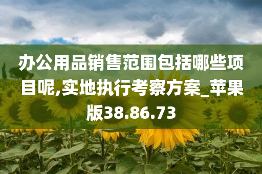 办公用品销售范围包括哪些项目呢,实地执行考察方案_苹果版38.86.73