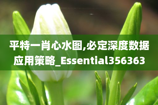 平特一肖心水图,必定深度数据应用策略_Essential356363