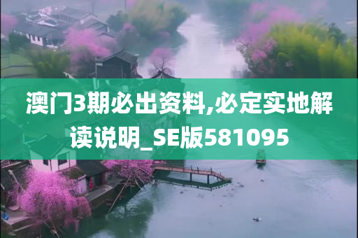 澳门3期必出资料,必定实地解读说明_SE版581095