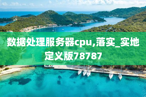 数据处理服务器cpu,落实_实地定义版78787