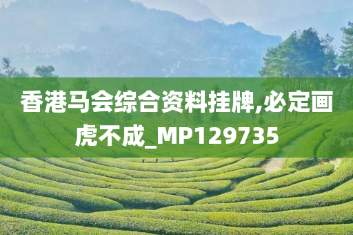 香港马会综合资料挂牌,必定画虎不成_MP129735