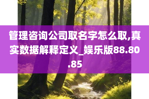 管理咨询公司取名字怎么取,真实数据解释定义_娱乐版88.80.85