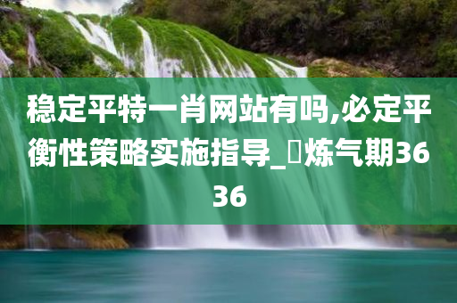 稳定平特一肖网站有吗,必定平衡性策略实施指导_‌炼气期3636