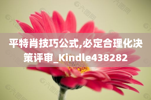 平特肖技巧公式,必定合理化决策评审_Kindle438282