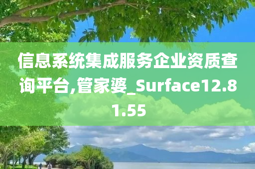 信息系统集成服务企业资质查询平台,管家婆_Surface12.81.55