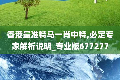 香港最准特马一肖中特,必定专家解析说明_专业版677277