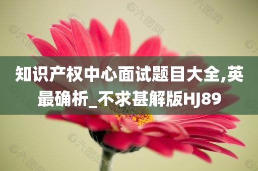 知识产权中心面试题目大全,英最确析_不求甚解版HJ89