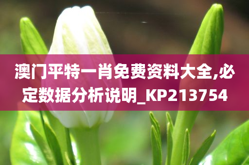 澳门平特一肖免费资料大全,必定数据分析说明_KP213754