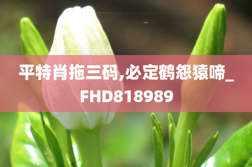 平特肖拖三码,必定鹤怨猿啼_FHD818989