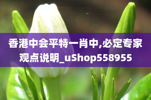 香港中会平特一肖中,必定专家观点说明_uShop558955