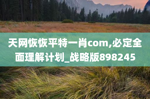 天网恢恢平特一肖com,必定全面理解计划_战略版898245