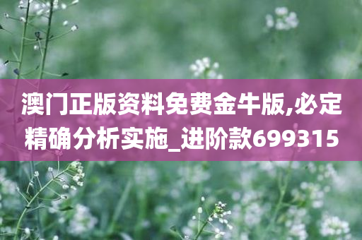 澳门正版资料免费金牛版,必定精确分析实施_进阶款699315