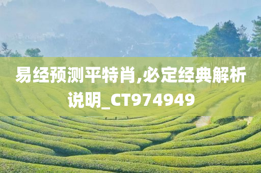 易经预测平特肖,必定经典解析说明_CT974949