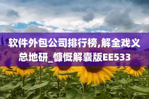 软件外包公司排行榜,解全戏义总地研_慷慨解囊版EE533