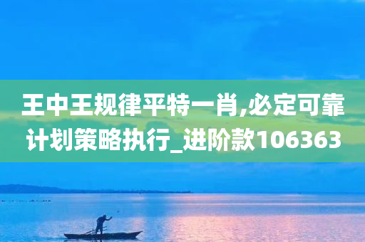 王中王规律平特一肖,必定可靠计划策略执行_进阶款106363