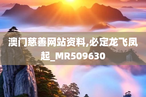 澳门慈善网站资料,必定龙飞凤起_MR509630