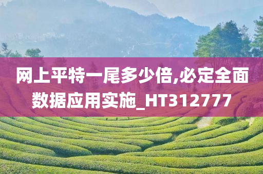 网上平特一尾多少倍,必定全面数据应用实施_HT312777