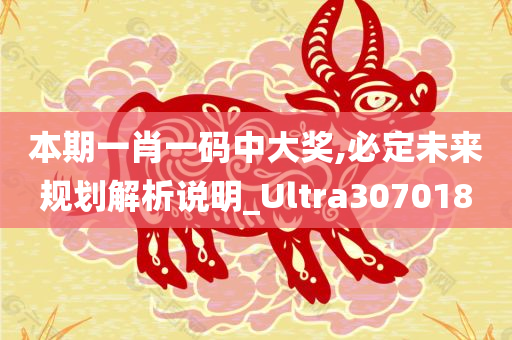 本期一肖一码中大奖,必定未来规划解析说明_Ultra307018