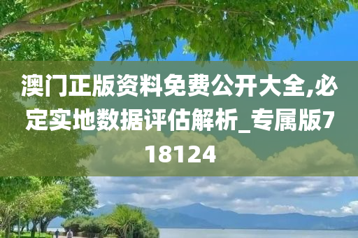 澳门正版资料免费公开大全,必定实地数据评估解析_专属版718124