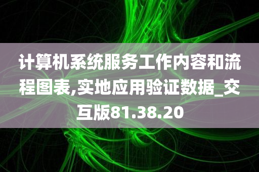 计算机系统服务工作内容和流程图表,实地应用验证数据_交互版81.38.20