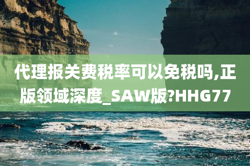 代理报关费税率可以免税吗,正版领域深度_SAW版?HHG77