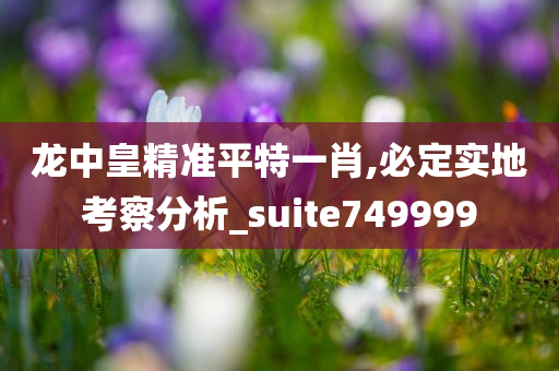 龙中皇精准平特一肖,必定实地考察分析_suite749999