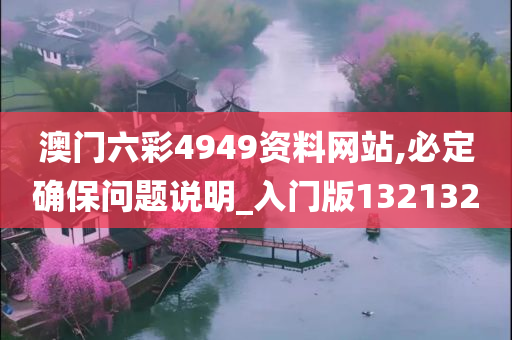 澳门六彩4949资料网站,必定确保问题说明_入门版132132