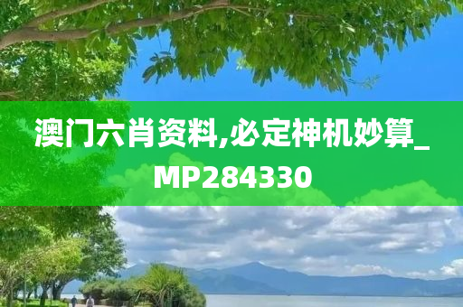 澳门六肖资料,必定神机妙算_MP284330