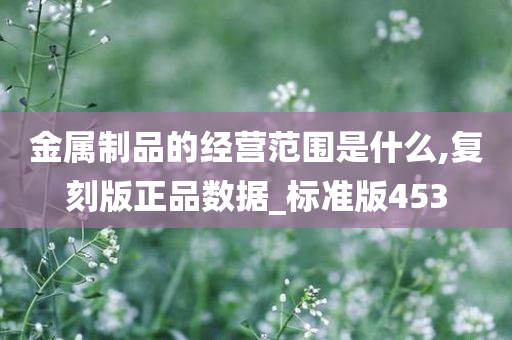 金属制品的经营范围是什么,复刻版正品数据_标准版453