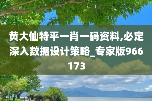 黄大仙特平一肖一码资料,必定深入数据设计策略_专家版966173