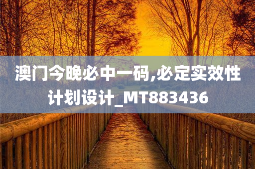 澳门今晚必中一码,必定实效性计划设计_MT883436