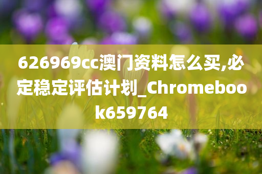 626969cc澳门资料怎么买,必定稳定评估计划_Chromebook659764