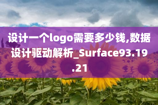 设计一个logo需要多少钱,数据设计驱动解析_Surface93.19.21