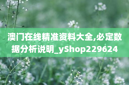 澳门在线精准资料大全,必定数据分析说明_yShop229624