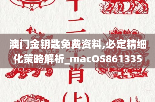 澳门金钥匙免费资料,必定精细化策略解析_macOS861335