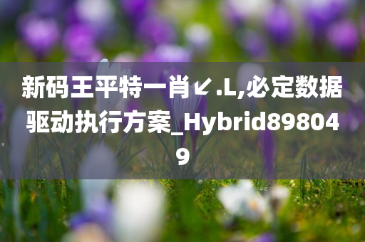 新码王平特一肖↙.L,必定数据驱动执行方案_Hybrid898049