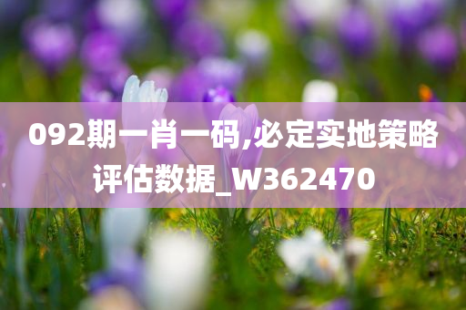 092期一肖一码,必定实地策略评估数据_W362470