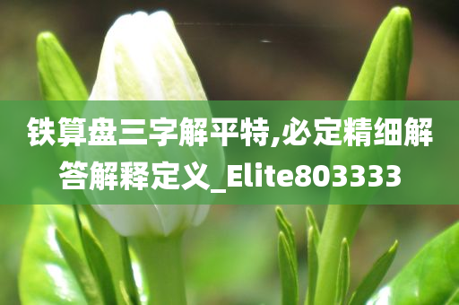 铁算盘三字解平特,必定精细解答解释定义_Elite803333