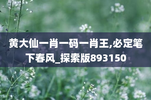 黄大仙一肖一码一肖王,必定笔下春风_探索版893150