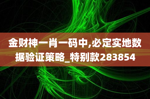 金财神一肖一码中,必定实地数据验证策略_特别款283854