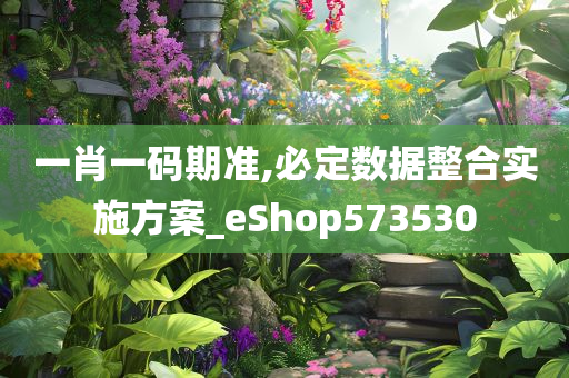 一肖一码期准,必定数据整合实施方案_eShop573530