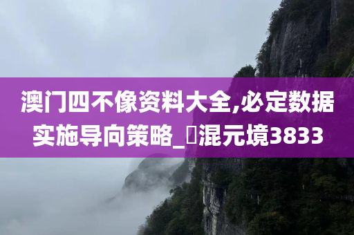 澳门四不像资料大全,必定数据实施导向策略_‌混元境3833