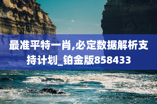 最准平特一肖,必定数据解析支持计划_铂金版858433