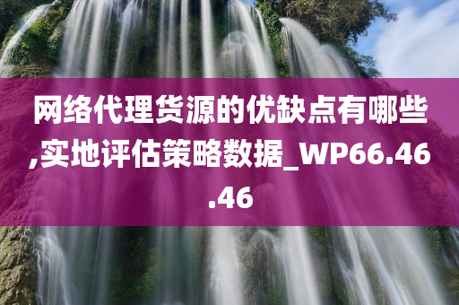 网络代理货源的优缺点有哪些,实地评估策略数据_WP66.46.46