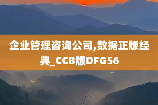 企业管理咨询公司,数据正版经典_CCB版DFG56