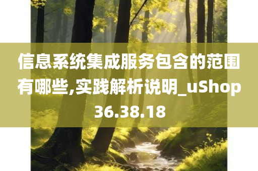 信息系统集成服务包含的范围有哪些,实践解析说明_uShop36.38.18